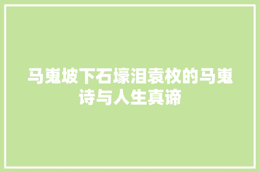 马嵬坡下石壕泪袁枚的马嵬诗与人生真谛