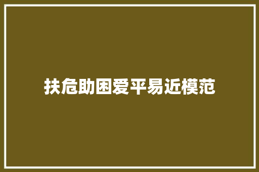 扶危助困爱平易近模范