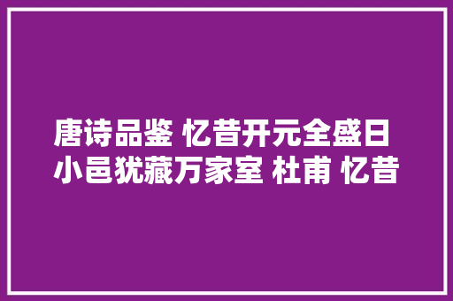 唐诗品鉴 忆昔开元全盛日 小邑犹藏万家室 杜甫 忆昔其二