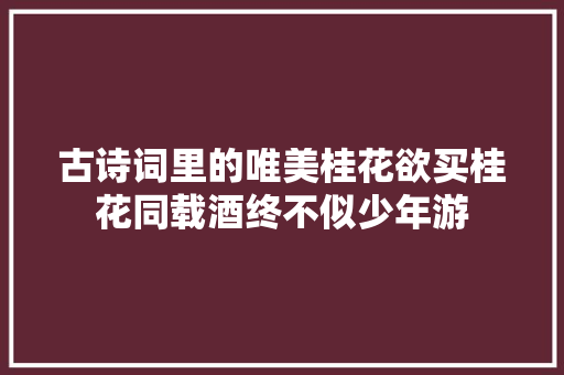 古诗词里的唯美桂花欲买桂花同载酒终不似少年游