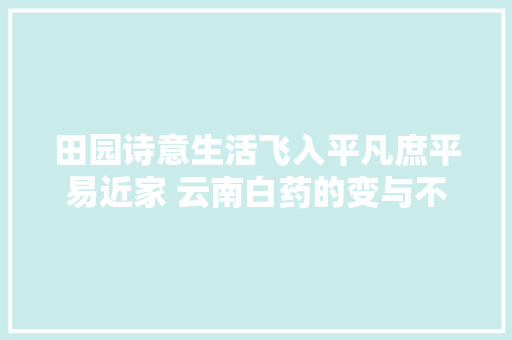 田园诗意生活飞入平凡庶平易近家 云南白药的变与不变