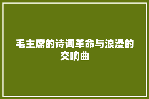 毛主席的诗词革命与浪漫的交响曲