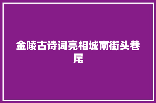 金陵古诗词亮相城南街头巷尾