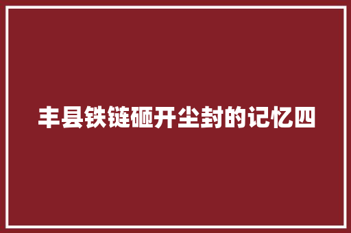丰县铁链砸开尘封的记忆四