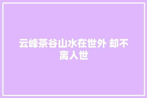 云峰茶谷山水在世外 却不离人世