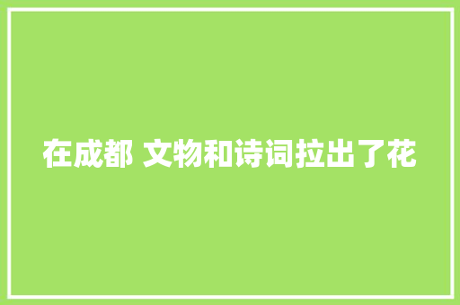 在成都 文物和诗词拉出了花