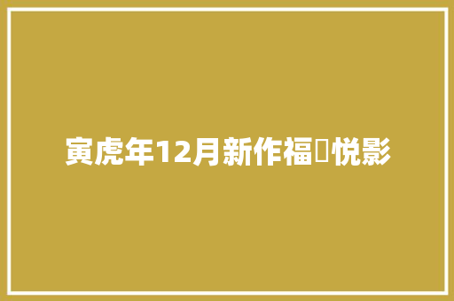 寅虎年12月新作福灮悦影
