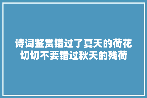 诗词鉴赏错过了夏天的荷花切切不要错过秋天的残荷