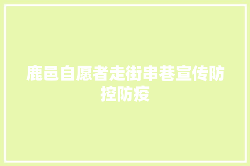 鹿邑自愿者走街串巷宣传防控防疫