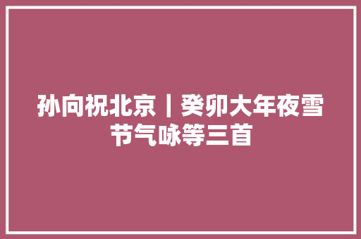 孙向祝北京｜癸卯大年夜雪节气咏等三首