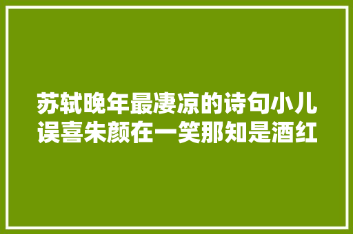 苏轼晚年最凄凉的诗句小儿误喜朱颜在一笑那知是酒红