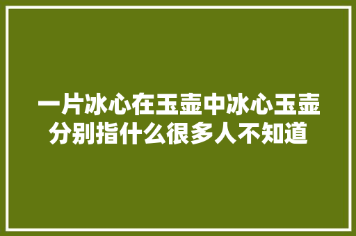 一片冰心在玉壶中冰心玉壶分别指什么很多人不知道