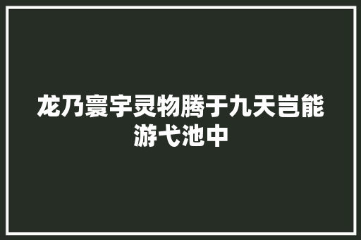 龙乃寰宇灵物腾于九天岂能游弋池中