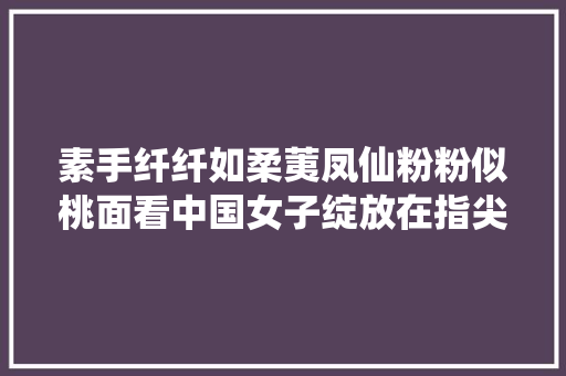 素手纤纤如柔荑凤仙粉粉似桃面看中国女子绽放在指尖上的美丽