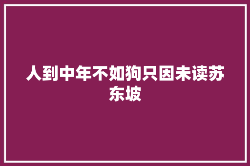人到中年不如狗只因未读苏东坡