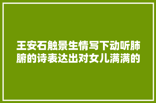 王安石触景生情写下动听肺腑的诗表达出对女儿满满的思念