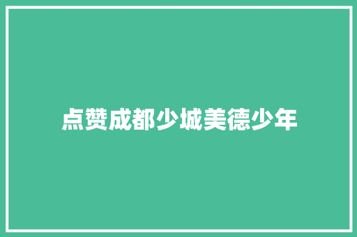 点赞成都少城美德少年