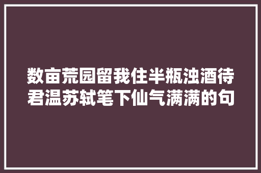 数亩荒园留我住半瓶浊酒待君温苏轼笔下仙气满满的句子