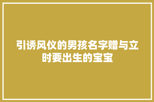 引诱风仪的男孩名字赠与立时要出生的宝宝