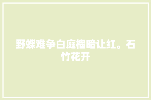 野蝶难争白庭榴暗让红。石竹花开