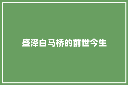 盛泽白马桥的前世今生