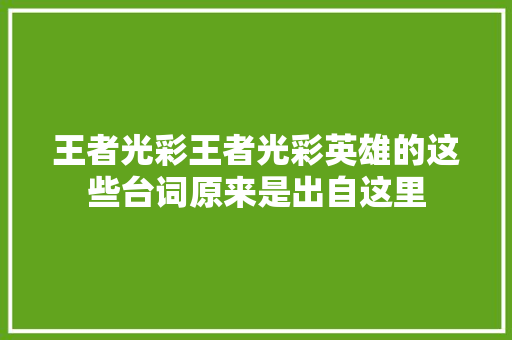 王者光彩王者光彩英雄的这些台词原来是出自这里
