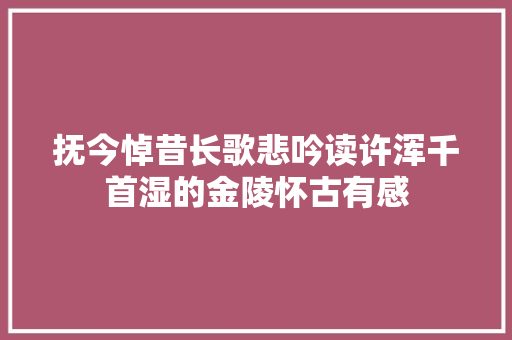 抚今悼昔长歌悲吟读许浑千首湿的金陵怀古有感