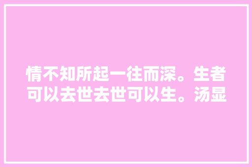 情不知所起一往而深。生者可以去世去世可以生。汤显祖牡丹亭