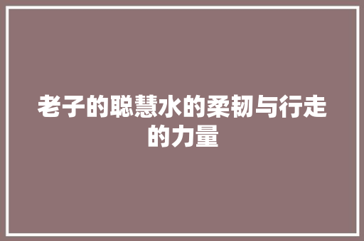 老子的聪慧水的柔韧与行走的力量