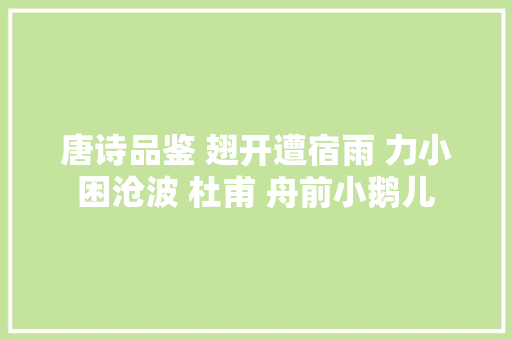 唐诗品鉴 翅开遭宿雨 力小困沧波 杜甫 舟前小鹅儿
