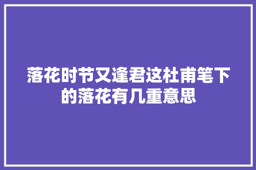 落花时节又逢君这杜甫笔下的落花有几重意思
