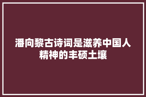 潘向黎古诗词是滋养中国人精神的丰硕土壤