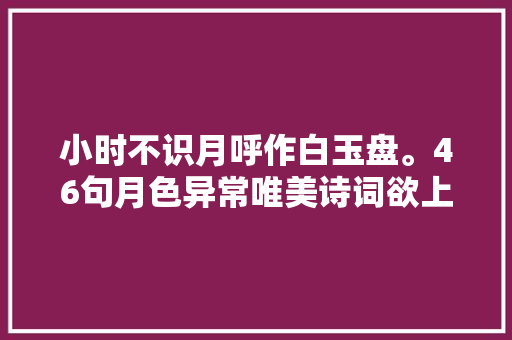 小时不识月呼作白玉盘。46句月色异常唯美诗词欲上上苍揽明月