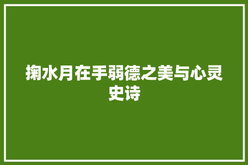 掬水月在手弱德之美与心灵史诗