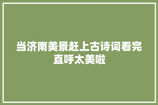当济南美景赶上古诗词看完直呼太美啦