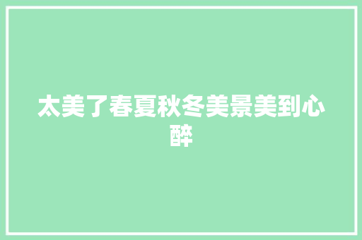 太美了春夏秋冬美景美到心醉