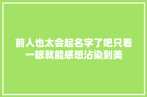 前人也太会起名字了吧只看一眼就能感想沾染到美