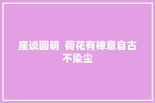 座谈圆明  荷花有禅意自古不染尘