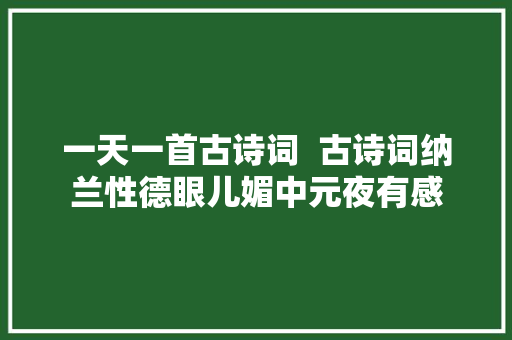一天一首古诗词  古诗词纳兰性德眼儿媚中元夜有感