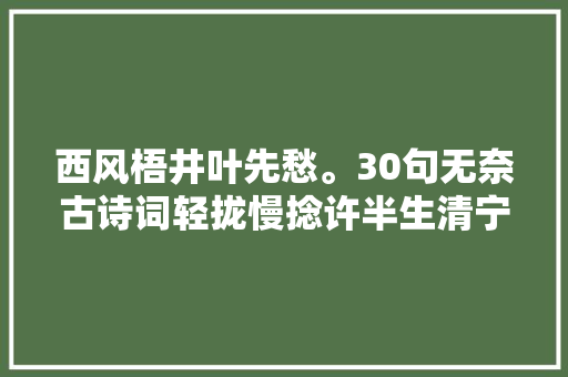 西风梧井叶先愁。30句无奈古诗词轻拢慢捻许半生清宁一世安好