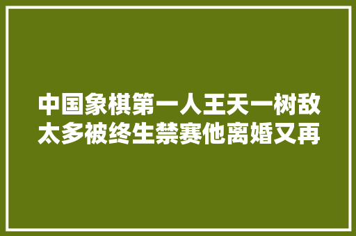 中国象棋第一人王天一树敌太多被终生禁赛他离婚又再婚
