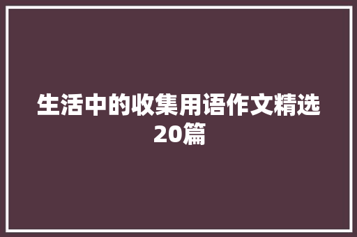生活中的收集用语作文精选20篇