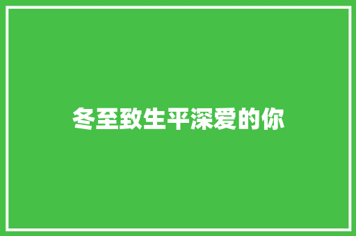 冬至致生平深爱的你