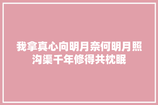 我拿真心向明月奈何明月照沟渠千年修得共枕眠