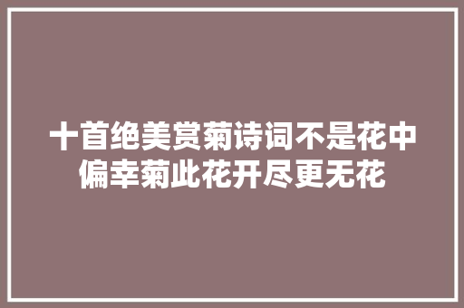 十首绝美赏菊诗词不是花中偏幸菊此花开尽更无花