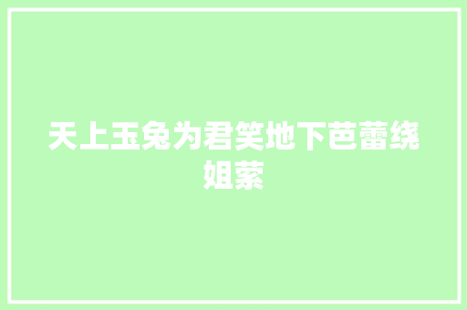 天上玉兔为君笑地下芭蕾绕姐萦
