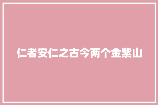 仁者安仁之古今两个金紫山