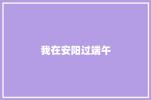 我在安阳过端午
