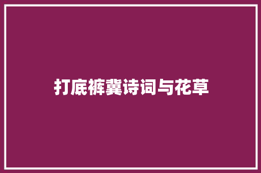 打底裤冀诗词与花草