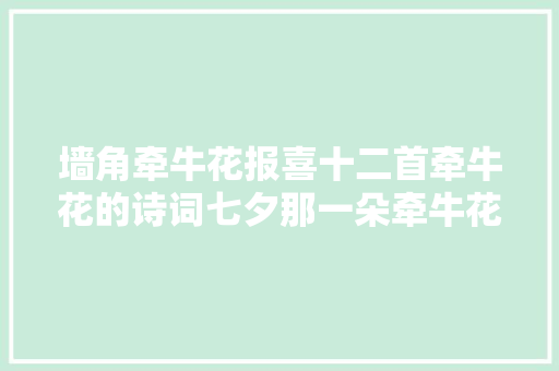 墙角牵牛花报喜十二首牵牛花的诗词七夕那一朵牵牛花开